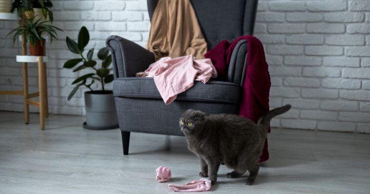 Tipos de desorden en casa y su significado ¿A qué se debe ser desordenado?