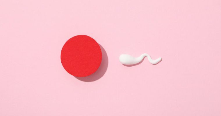 Diafragma Anticonceptivo: Libre de Hormonas y Reutilizable
