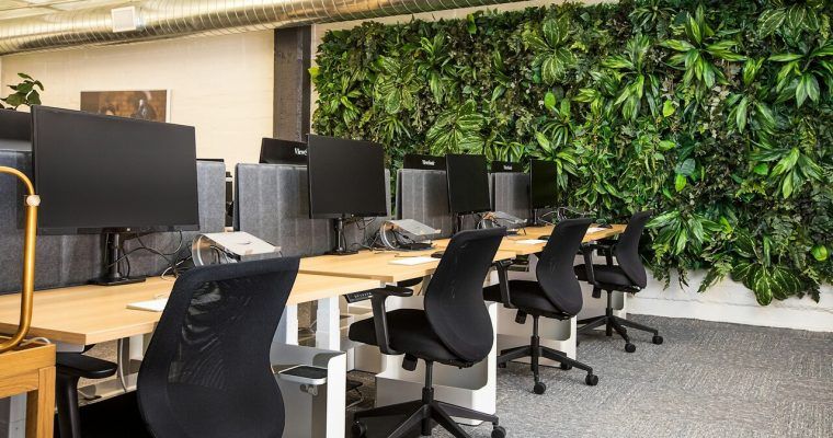Comodidad y Estilo: Descubre Nuestra Colección de Sillas Ergonómicas
