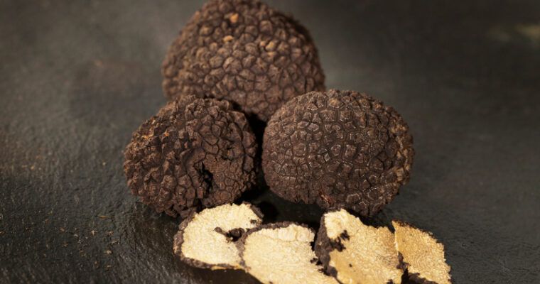 Trufa: el oro gastronómico y cómo aprovecharlo en tu negocio