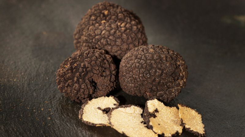 Trufa: el oro gastronómico y cómo aprovecharlo en tu negocio