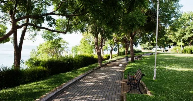 Bancos, papeleras y fuentes urbanas: elementos esenciales en la planificación de parques modernos