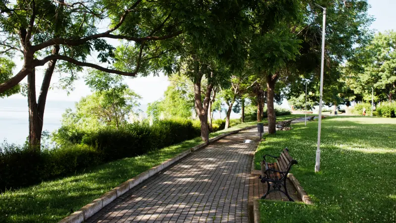 Bancos, papeleras y fuentes urbanas: elementos esenciales en la planificación de parques modernos