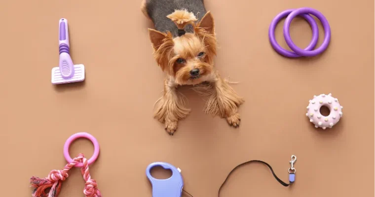 Accesorios divertidos para perros: estilo, comodidad y personalidad en cada paseo